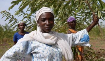 annual report 2014 cover