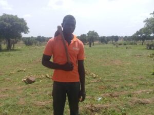 Jiamoaka is a contract farmer in Nanyiar, North East Region Photo Credit: SEND GHANA